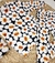 Conjunto full print - Maria Carminha