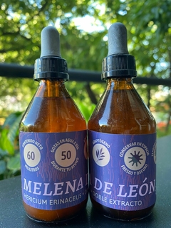 MELENA DE LEON DOBLE EXTRACTO ADAPTOGENO GOTERO X 60 ML