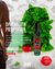 Garganta Profunda Spray Dessensibilizante (morango) na internet
