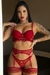04004 CROPPED EM TULE BORDADO , FIO E CINTA-LIGA DELUXE - loja online