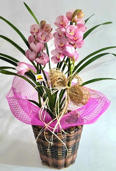 ORQUÍDEA PARIS - comprar online