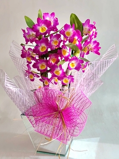 ORQUÍDEA AURORA - comprar online