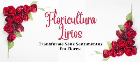 Carrusel Floricultura Lírios mg