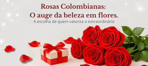 Carrusel Floricultura Lírios mg