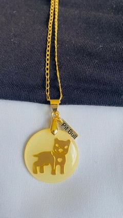 Colar acrílico madrepérola Pit Bull - comprar online