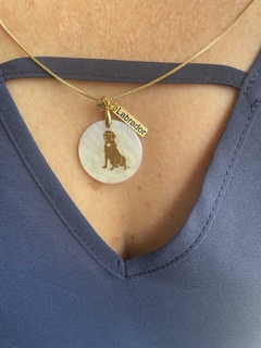 Colar acrílico madrepérola Labrador - comprar online