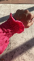 Cropped Mia rosa na internet