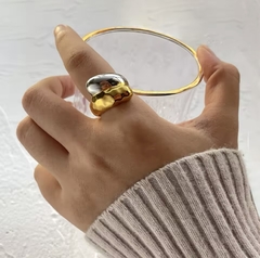 Anillo Alexa en internet