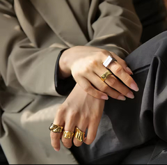 Anillo Niza en internet