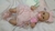 Imagem do Bebê Reborn Bettie Menina
