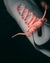 La Cordoneria |Cordones Sayco 2.0 - tienda online