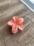 Presilha flowers