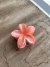 Presilha flowers