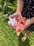 Presilha flowers