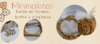 Banner SANDRA PAZ ACESSÓRIOS