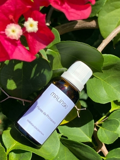 Essência Concentrada Flores de Primavera 40ml na internet