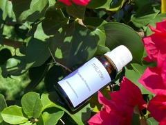 Essência Concentrada Flores de Primavera 40ml - comprar online