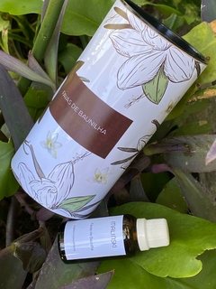 Essência Concentrada Favas de Baunilha 40ml - comprar online