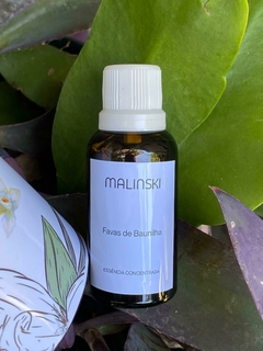 Essência Concentrada Favas de Baunilha 40ml - comprar online