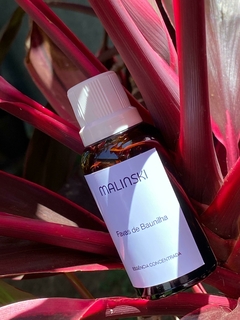 Essência Concentrada Favas de Baunilha 40ml - Malinski Ateliê Olfativo