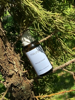 Imagem do Kit Aromatizador Eletrico + Essência Concentrada 40ml