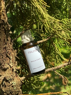 Essência Concentrada Mirra do Oriente 40ml - comprar online
