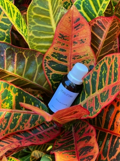 Essência Concentrada Mirra do Oriente 40ml - loja online