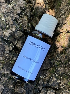 Imagem do Essência Concentrada Cheiro de Outono 40ml