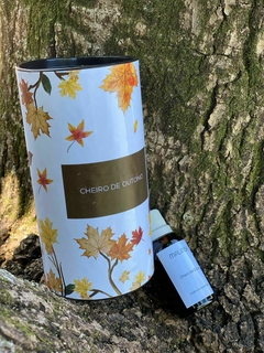 Essência Concentrada Cheiro de Outono 40ml - comprar online