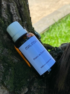 Essência Concentrada Cheiro de Outono 40ml - comprar online
