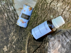 Essência Concentrada Cheiro de Outono 40ml - comprar online