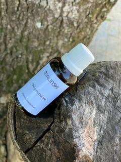 Essência Concentrada Cheiro de Outono 40ml - loja online