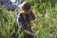 Asesoramiento de jardines
