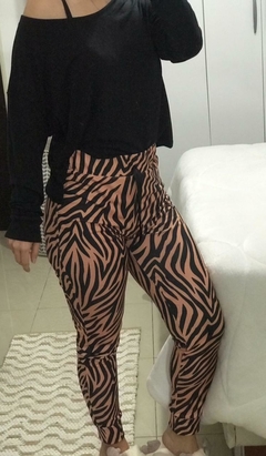 Miranda en internet