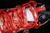 DUNK LOW SB VERMELHO/BRANCO na internet