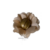 Image of Forminhas de flores - tons suaves