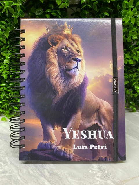 Agenda personalizada 2025 um dia por pagina