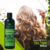 Shampoo Profesional Tea Tree 500 ml | Limpieza Profunda para Cabello Graso | Sin Parabenos ni Siliconas | Estimula el Crecimiento | Uso Diario en internet