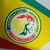 Senegal - Home 22/23 (Versão Player) na internet