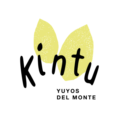 Kintu hierbas