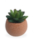 Suculenta Arranjo Flor Artificial Com Vaso Estilo Kokedama