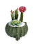 Suculenta Arranjo Flor Artificial Vaso Cacto Verde Cerâmica