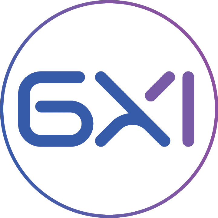 6x1