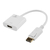 ADAPTADOR DE VIDEO (DISPLAYPORT A HDMI) ELE-GATE WI.69