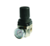 REGULADOR DE PRESSÃO - 1/4"BSP - TR2000-02 - comprar online