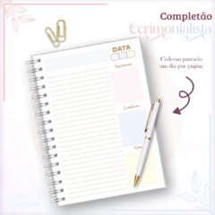 Agenda Cerimonialista - Tai Artes e Festas LTDA