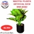 MACETA + PLANTA ARTIFICIAL 32CM BNB 43362