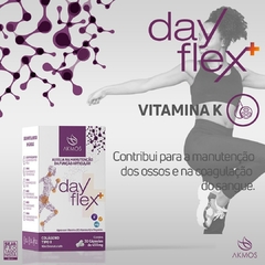DAY FLEX + Colágeno TIPO II na internet