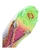 Chuteira de Campo Nike Phantom Luna II Elite FG Electric - Imperial Sport | Artigos Esportivos