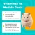 Vitamina para Hamster Coelho Gerbil Porquinho da Índia Topolino e Chinchila Roevit Alcon 15ml na internet